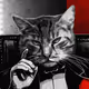 bosskitten
