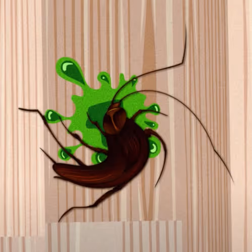 OpenSea profile picture for @Cockroach