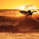 SurfinandTurfin