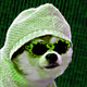 coachkun9