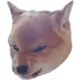 0xrio_afk334