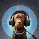 BoomPei