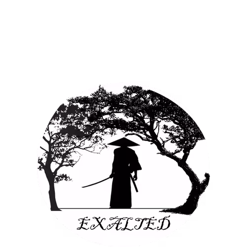 OpenSea profile picture for @Exalted