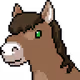 bithorseclub