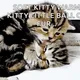 TheSoftKitty