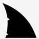 Sharkify