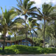 birdyL