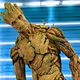 plantgroot
