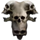 CryptoDeathGod