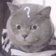 0x33936af787578ca8ddeeb9047e854f68fe9d4d35