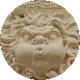 _sergestus_