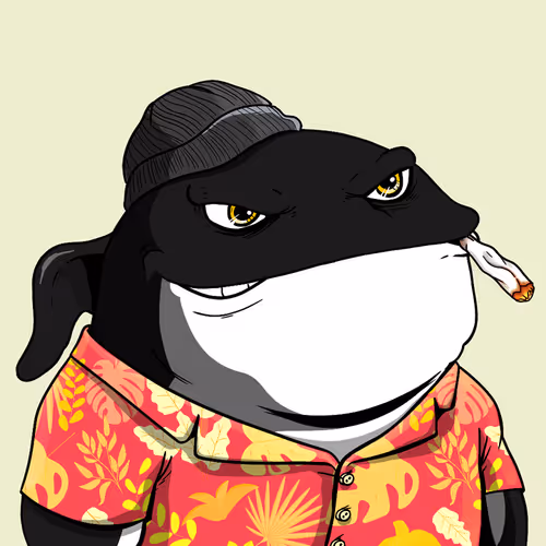 OpenSea profile picture for @Coronary