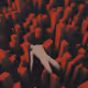 0x33eb7d5b5831d4084887e7c4fc938e130ee0af1d