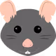RiskyRat