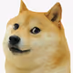 dogshit999