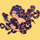 MedusaM