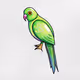 PetiteParrot
