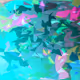 Bu_cat062