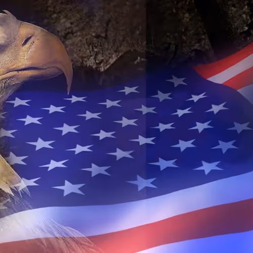 OpenSea banner for @Americana