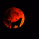 0x3437c01d89bb030de3f456be4e1ea1d8d05b0267