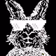 MoonRabbitNFTco