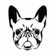 BulldogAriGold