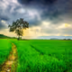 Liveinnature1401