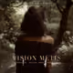 visionmetis