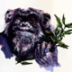 ALPHA-PRIME-APE-SHIT