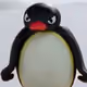 WideFelixHappy