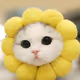 SunflowerCat