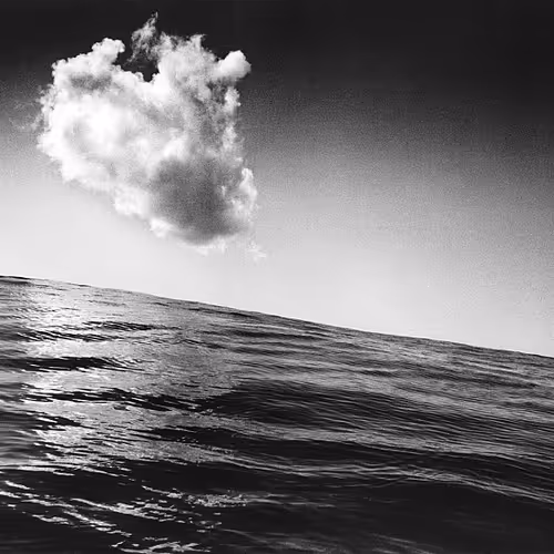 OpenSea banner for @nautilus