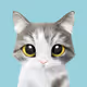 sugarcat_candydoggie