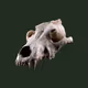 gaia_crypt