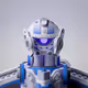 0xflickr2