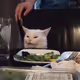 qscee666