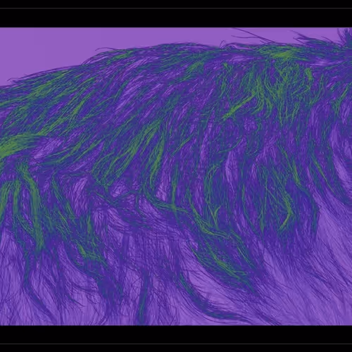 OpenSea banner for @Aquarium