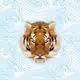 0x352c4a1cd0d94c4684a0a37cc2ca36ed79933eb8