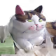 0x353b35b6f5e2c5dc033ce2ce474ccf2aa55b9278