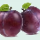 plummint