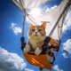 0x354da4b8305a0b7be588595545b12d1466474068