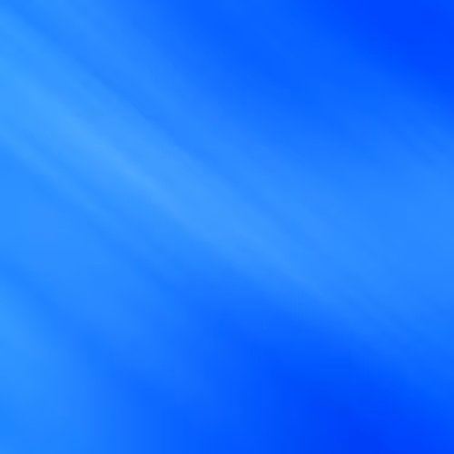 OpenSea banner for @government