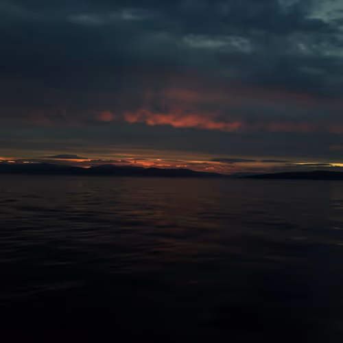OpenSea banner for @Bidders