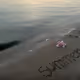 SunmerFlours