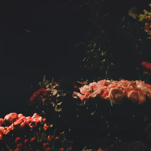 OpenSea banner for @landers