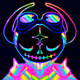 0x35e4c22d046e03250b89df7bc799bba5515cf358