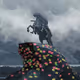 KNIGHTPRO