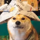 Sir_Paper_Hands