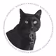 blackcatcoca