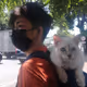 ZhackyDCat